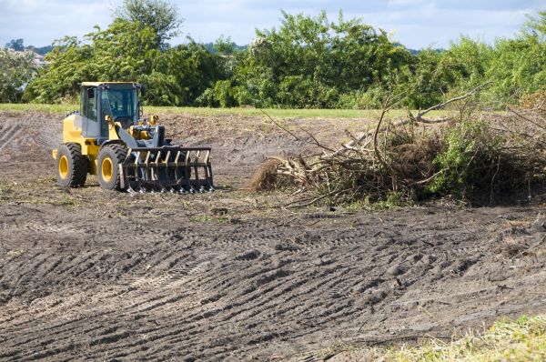 Bozeman Land Clearing